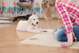 Carpet Cleaning Services 

CARPET CLEANING, FABRIC CLEANING, UPHOLSTERY CLEANING
WE DO IT ALL. [suburb].

Bebrite [suburb] Teams Provide Professional CARPET Cleaning Services To Many Residential Clients And It Is Now A Must When Moving Out. Real Estate Agents And Owners Are Now Insisting That Carpets Are Professionally Cleaned When Vacating. Your Carpet Is Often Your Most Expensive Household Item And Should Be Cleaned Regularly.
Bebrite Carpet Cleaning [suburb] Uses The AMAZING Steam And Extraction Process, Ensuring That All Dirt, Residue, Dust Mites And Odours Are Removed. Offices And All Workplace Carpets Should Be Cleaned On A Regular Basis, This Preserves The Lifetime Of The Carpet. Your Pets And Your Children Can Leave Nasty Stains On Your Carpets – Bebrite [suburb] Carpet Cleaning Uses A Number Of Amino Acids Designs Specifically To Treat To Difficult Stains. Removing Harmful Bacteria Is Essential To Healthy Living – A Bebrite [suburbs] Carpet Cleaning Service Will Eliminate Odours And Stains.
Parties Are Also A Time When Food And Drinks Get Trodden Into The Carpet. Dirt And Mud And Quickly Removed With A Bebrite Carpet [suburb] Cleaning Service. It’s TERRIFIC To Have Your Carpet Looking Great Again After A Bebrite [suburb]  Carpet Clean.

 
Give Your CARPETS  That AMAZING BEBRITE Finish!



