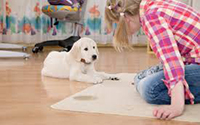 Carpet Cleaning Services Leitchville

